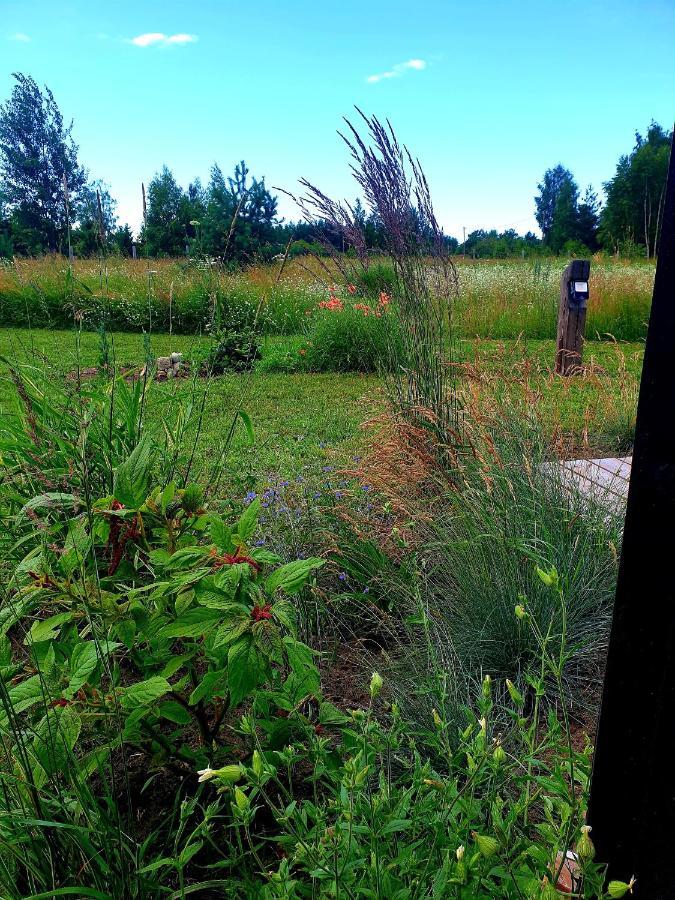 Anna'S Home Jurmalciems Eksteriør billede