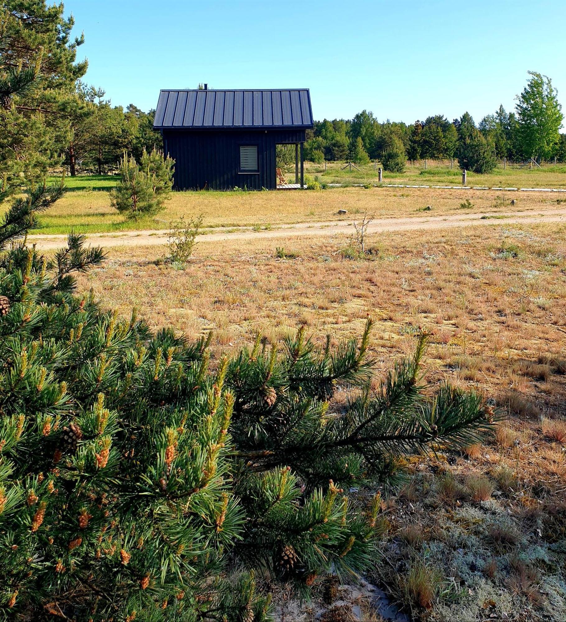 Anna'S Home Jurmalciems Eksteriør billede