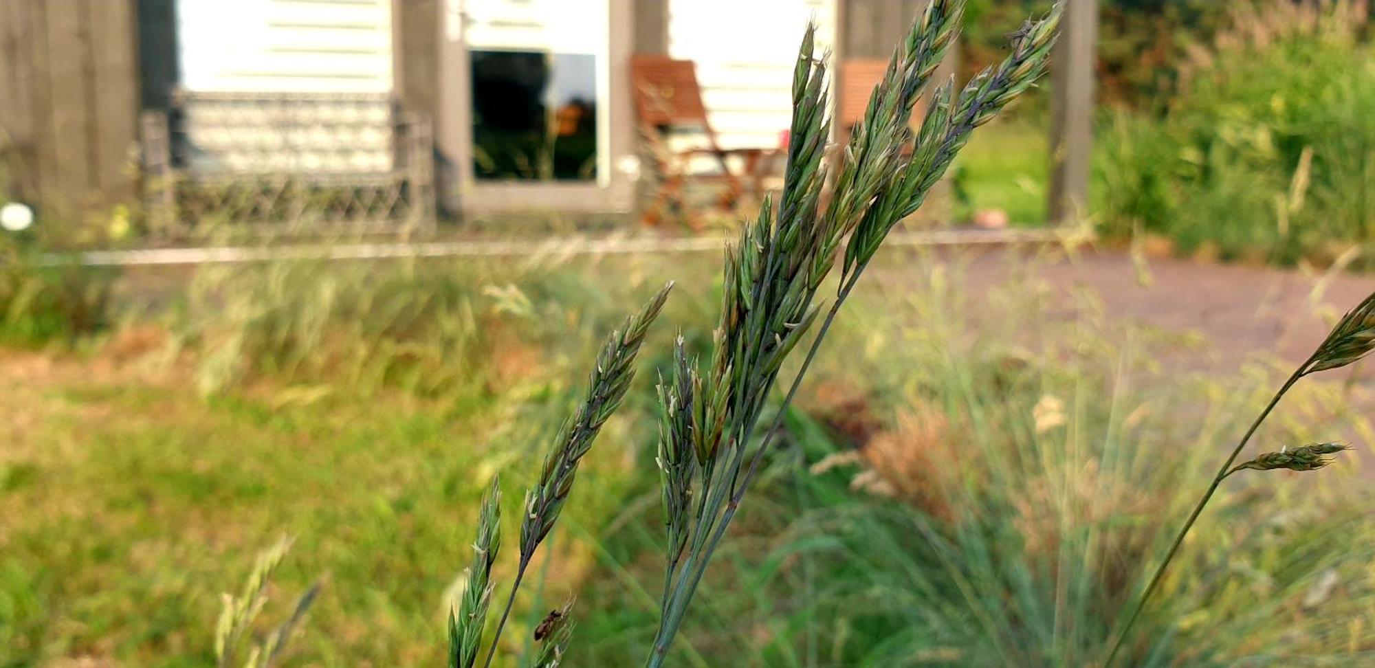 Anna'S Home Jurmalciems Eksteriør billede
